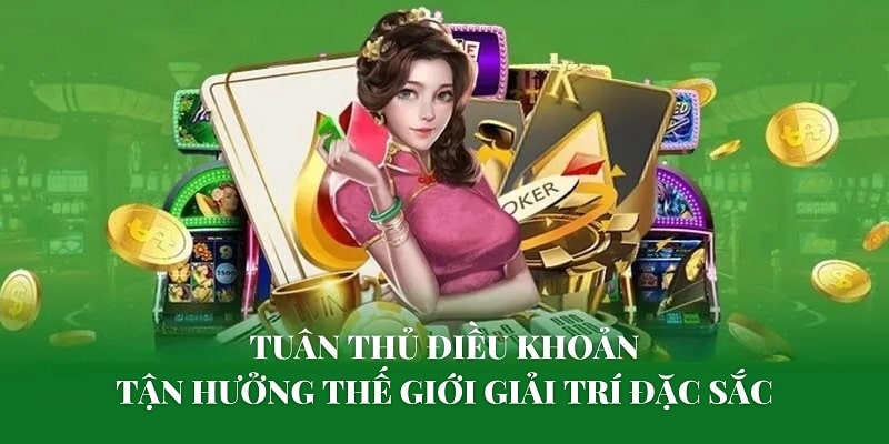 Tuân thủ điều khoản OK9 để có trải nghiệm cá cược chất lượng